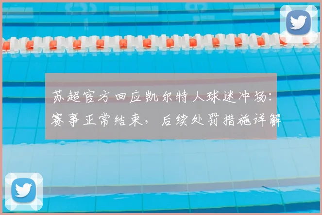 苏超官方回应凯尔特人球迷冲场:赛事正常结束,后续处罚措施详解